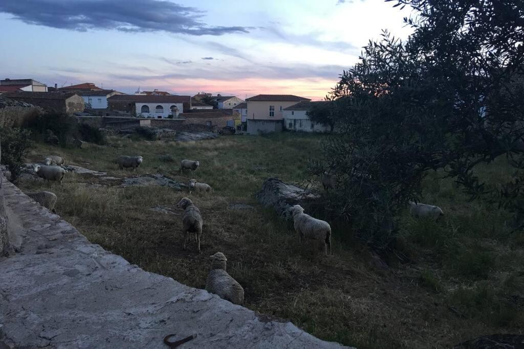 Casa - Apartamento Rural La Tahona Del Abuelo Plasenzuela Eksteriør billede