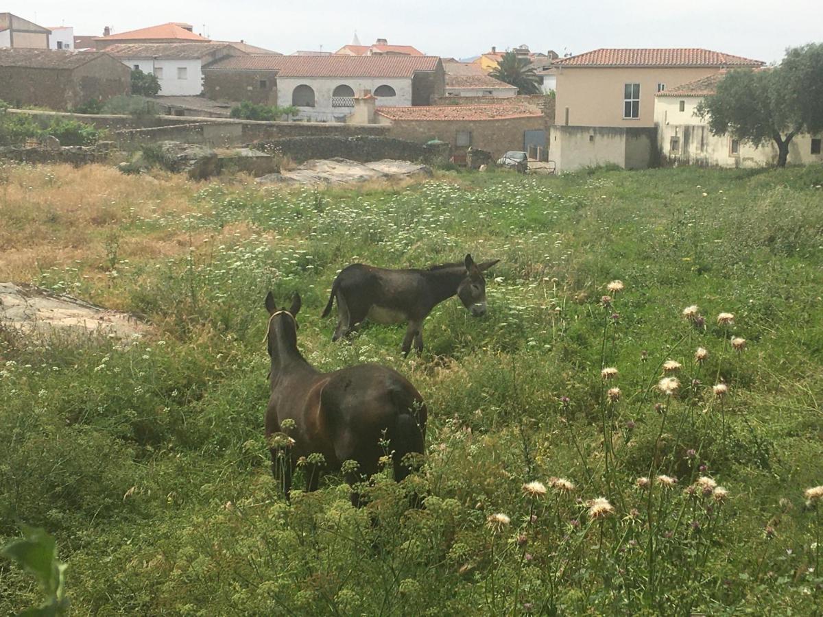 Casa - Apartamento Rural La Tahona Del Abuelo Plasenzuela Eksteriør billede